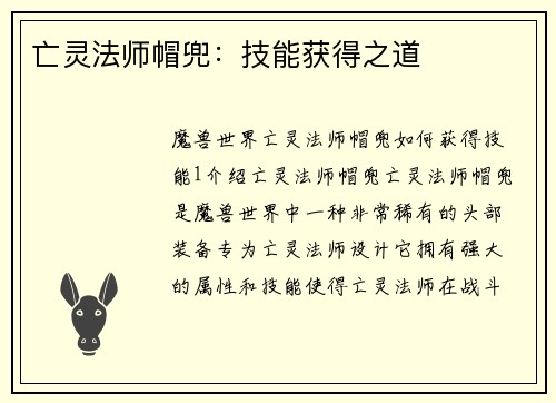 亡灵法师帽兜：技能获得之道